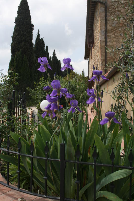 Antico Casolare Villa Сан Джиминяно Екстериор снимка